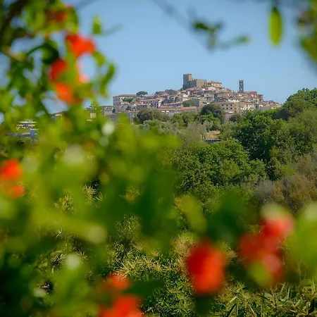 Il Lupinaio 43 Manciano