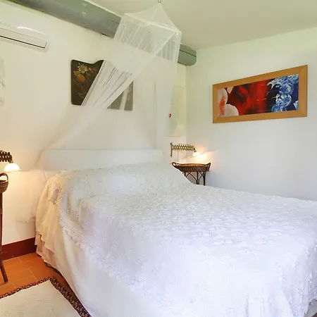 Villa Il Lupinaio 43